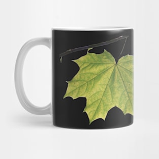 Leaf and branch Mug